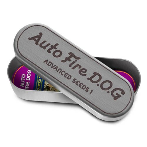 Auto Fire Dog - Advanced Seeds