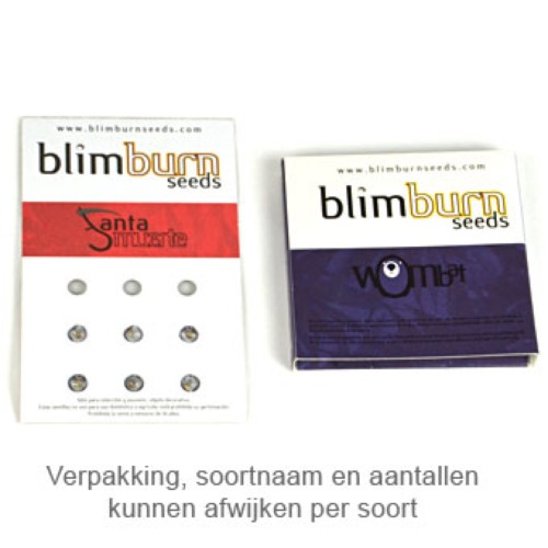 Kabrales - Blimburn Seeds verpakking