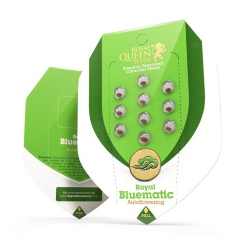 Royal Bluematic - Royal Queen Seeds verpakking