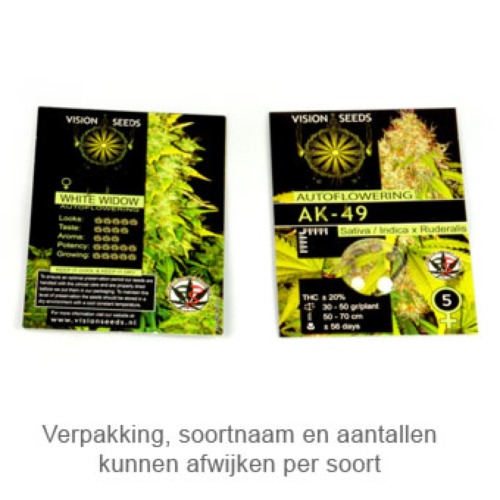 Cheese - Vision Seeds verpakking