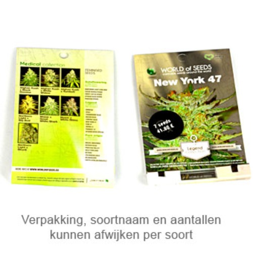 Domina Star - World of Seeds verpakking