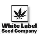 White Label Seeds wietzaadjes